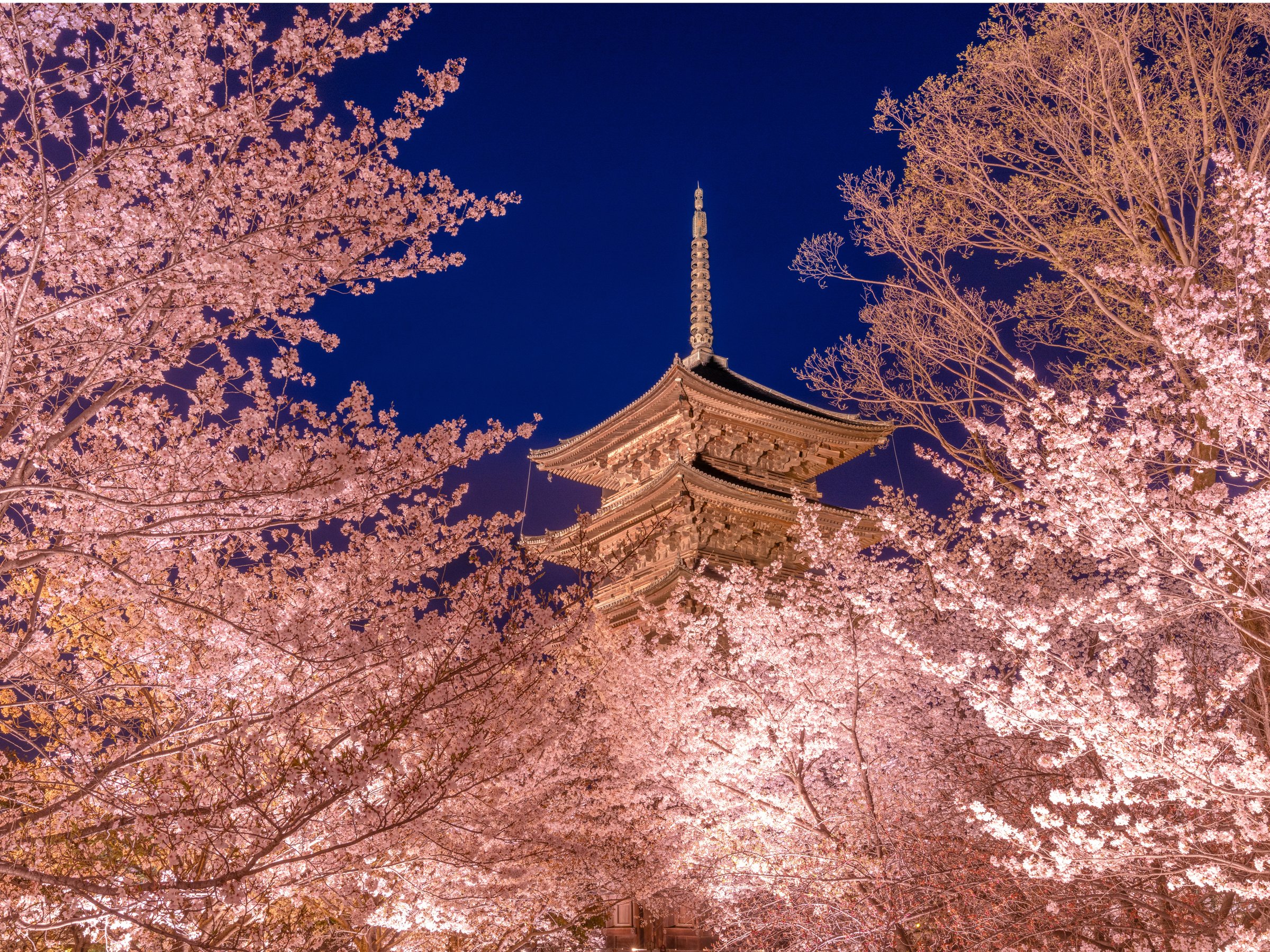 �y�����������z�h���Ҍ���I2026�N�t ���E��Y�u�����v������C�g�A�b�v�����