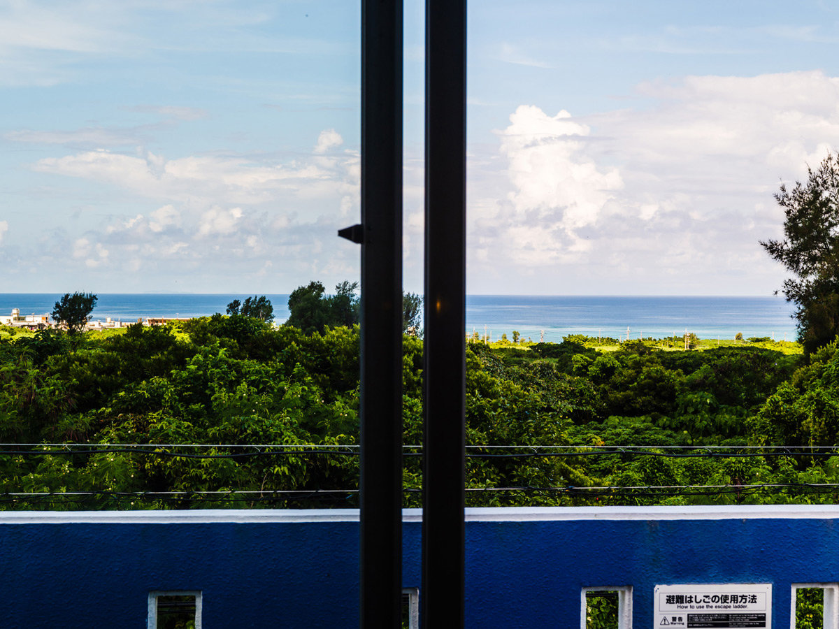 �R�K�Z�J���h���r���O�B��������C�������܂��B