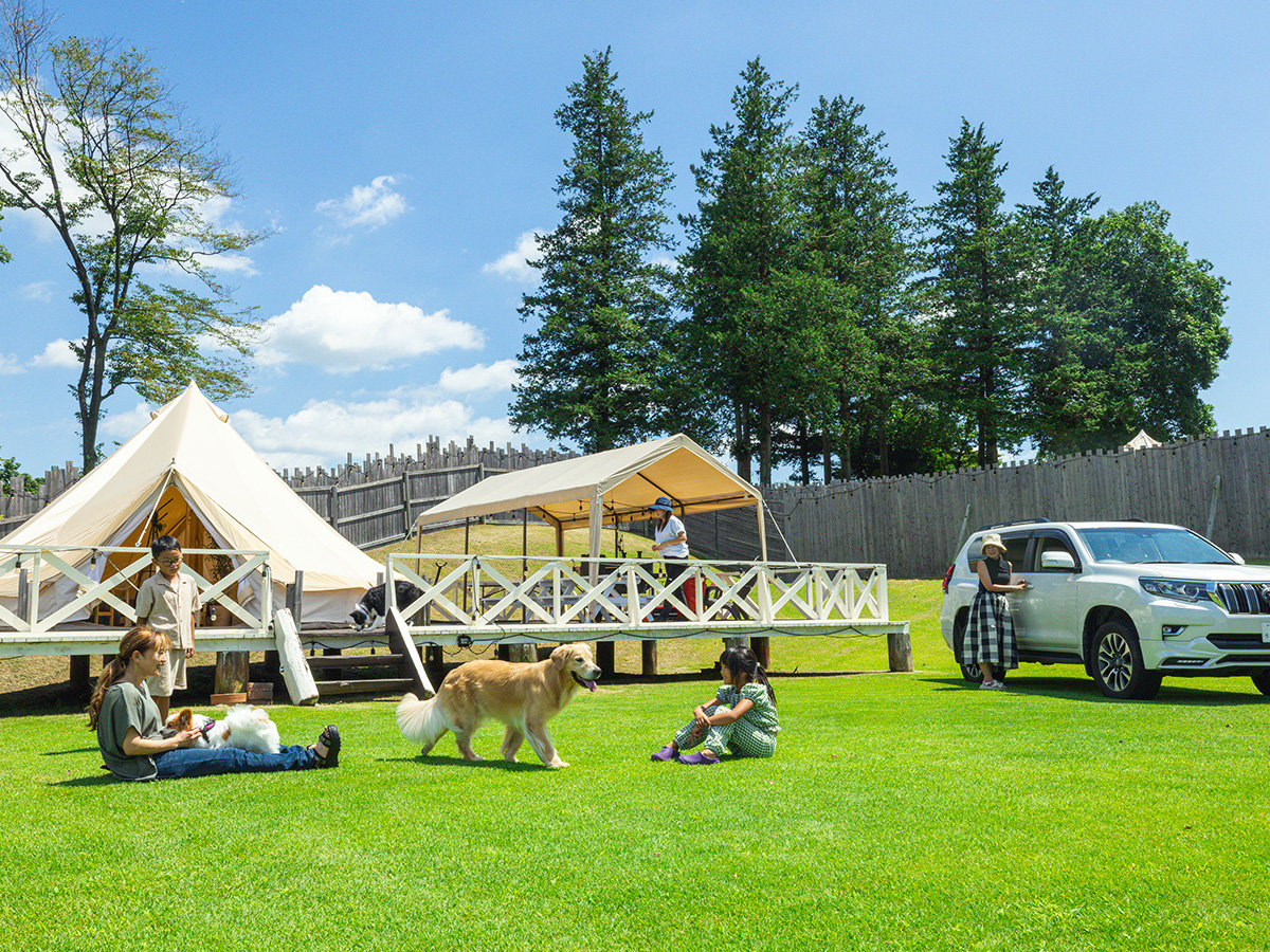 �y�h�b�O�����t�X�[�p�[�v���~�A���T�C�g�z1200�u�̃h�b�O�����̒��ɂ����l�C�̃T�C�g�B