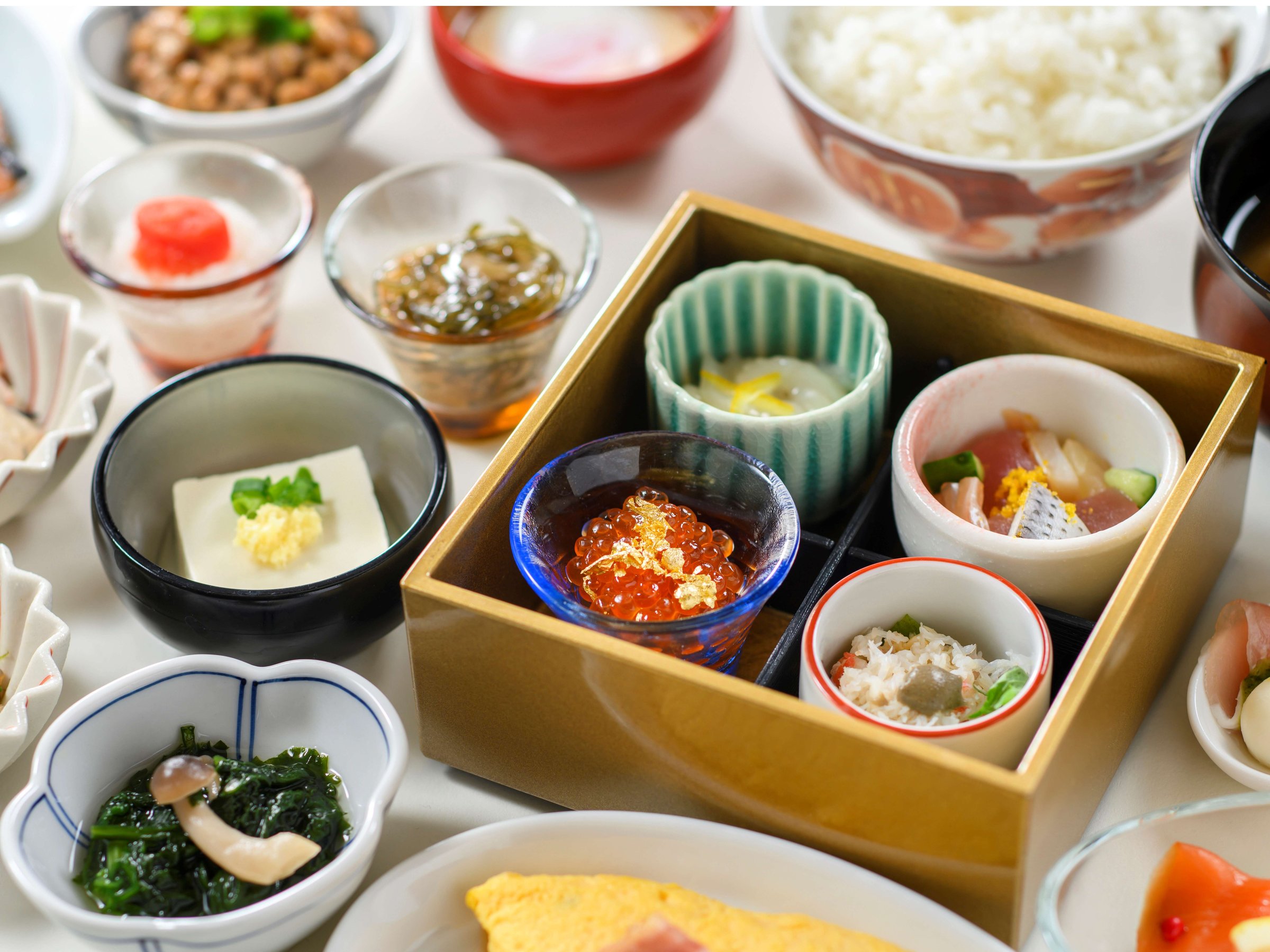 �����H�r���b�t�F