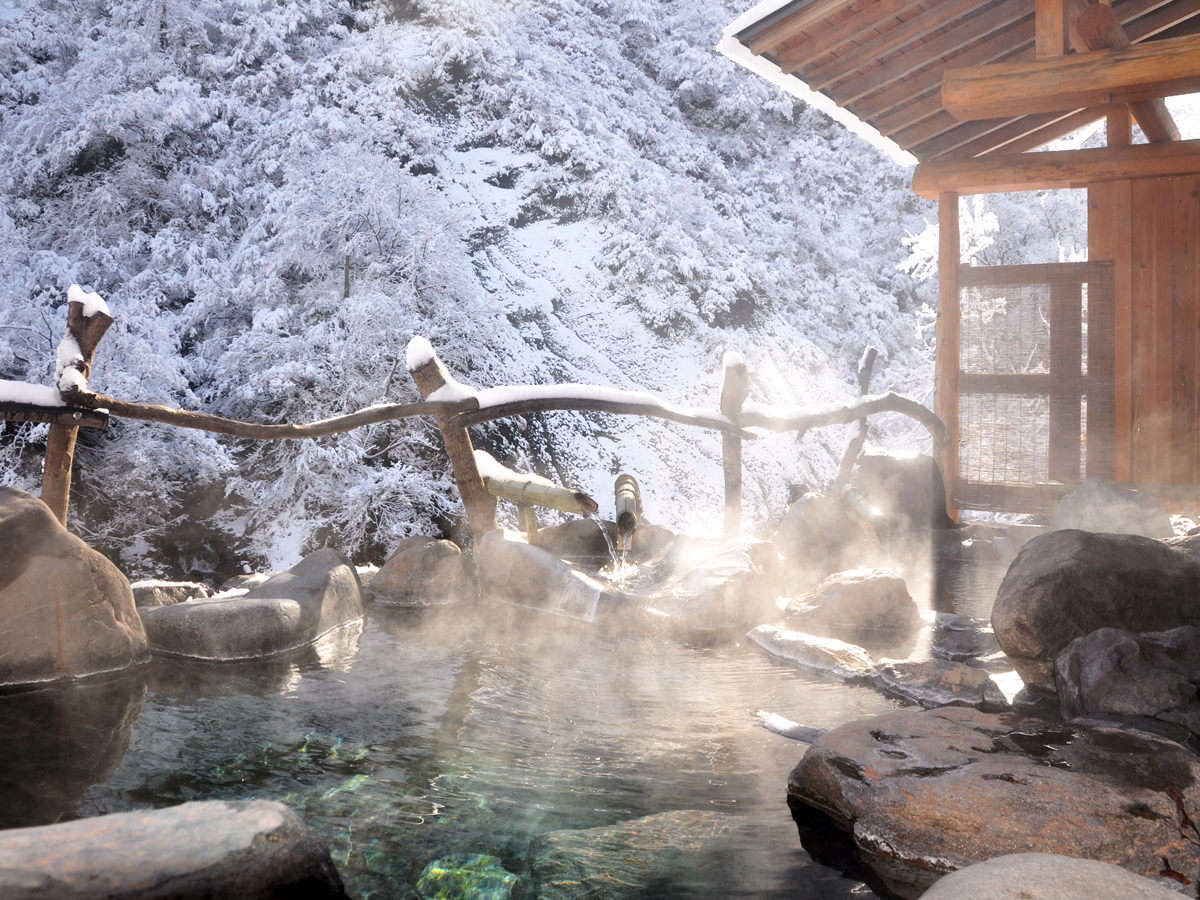 yݐؘIVCE~z~̐񂾋CȂZIVC͊iʂłB