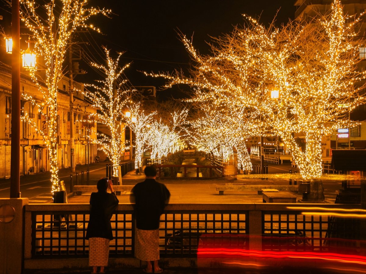 173�{�̍��̖؂ɖ�55������LED�d������������A��̉���X�����z�I�Ȍ��ōʂ��܂�