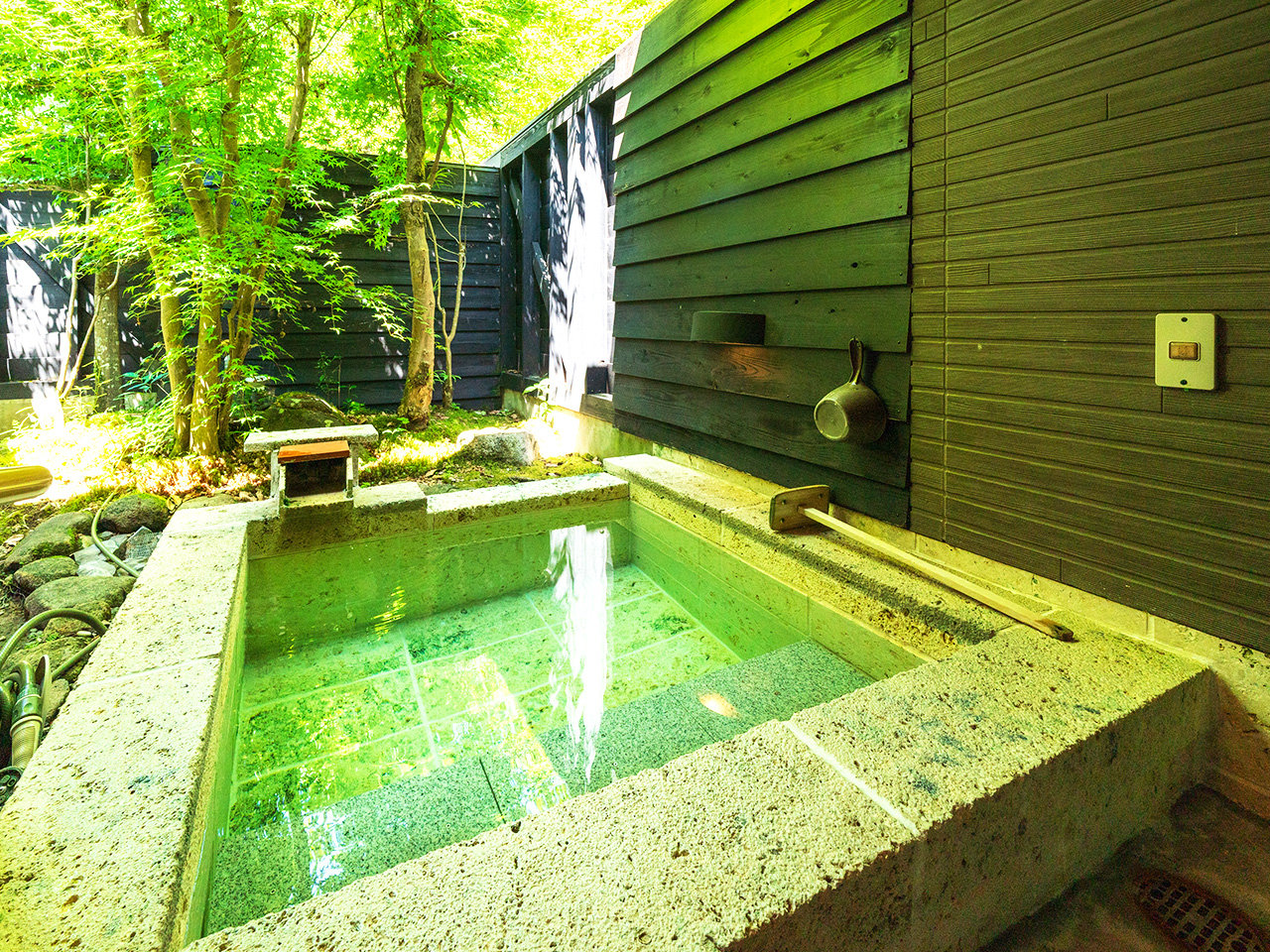 �yTypeA�z�ق̂��ȗ����L���Y���W���ΐF�ɂ��݂��邨����pH9.4�ȏ�̃A���J�����B