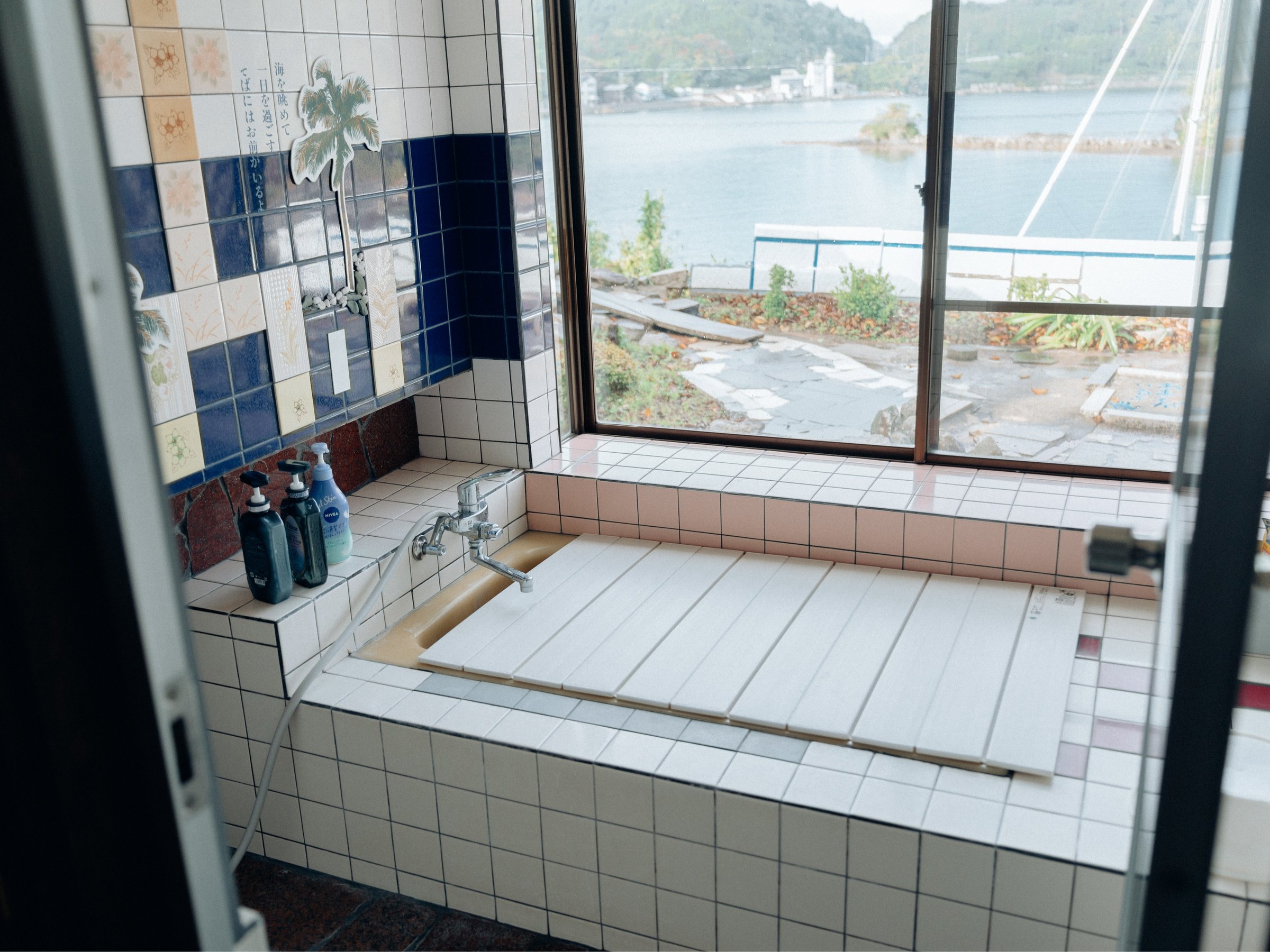 �C����]�ł���A���h�����̂����C�ł��B