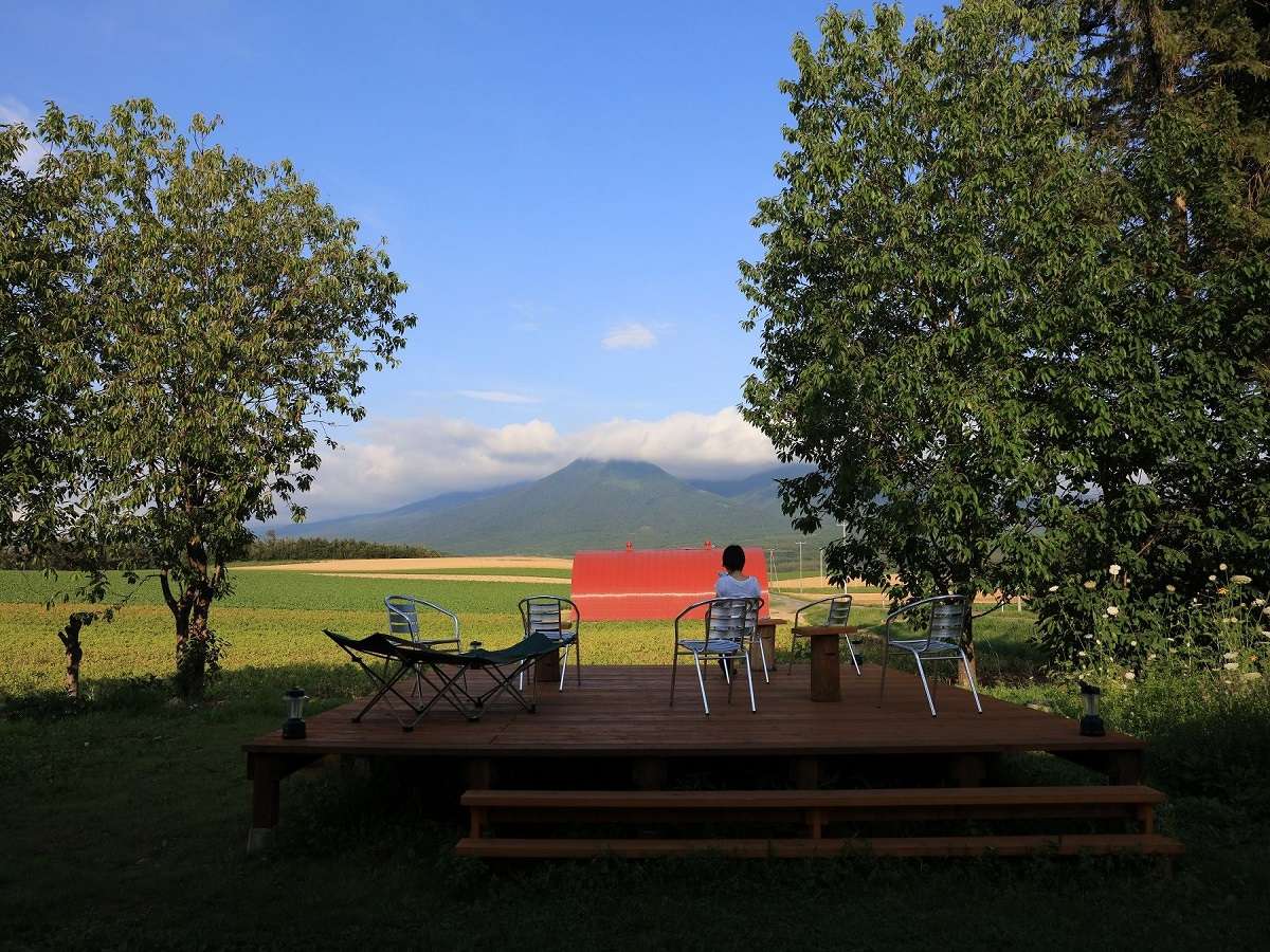 �E�b�h�f�b�L�ł�������