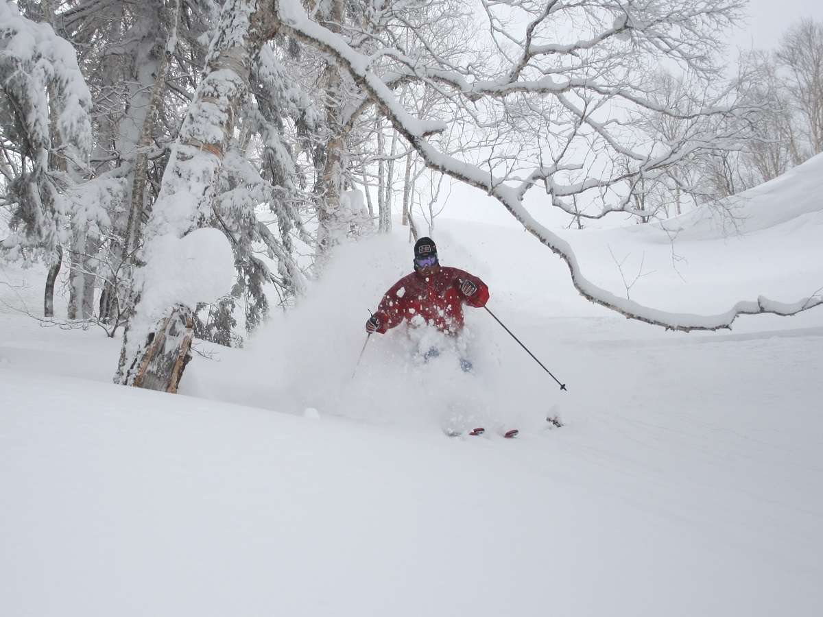 �o�b�N�J���g���[�X�L�[