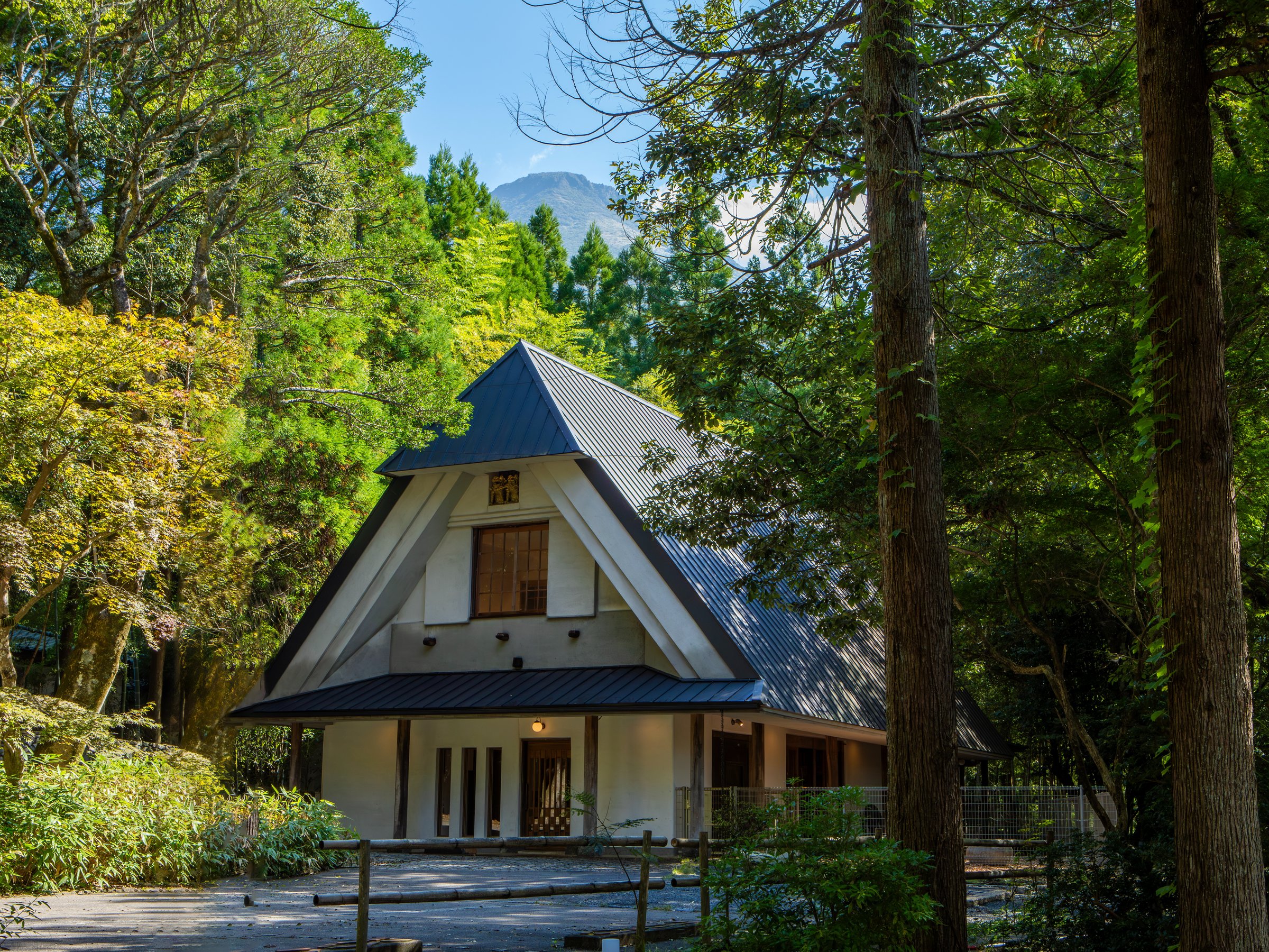 �t�����g��