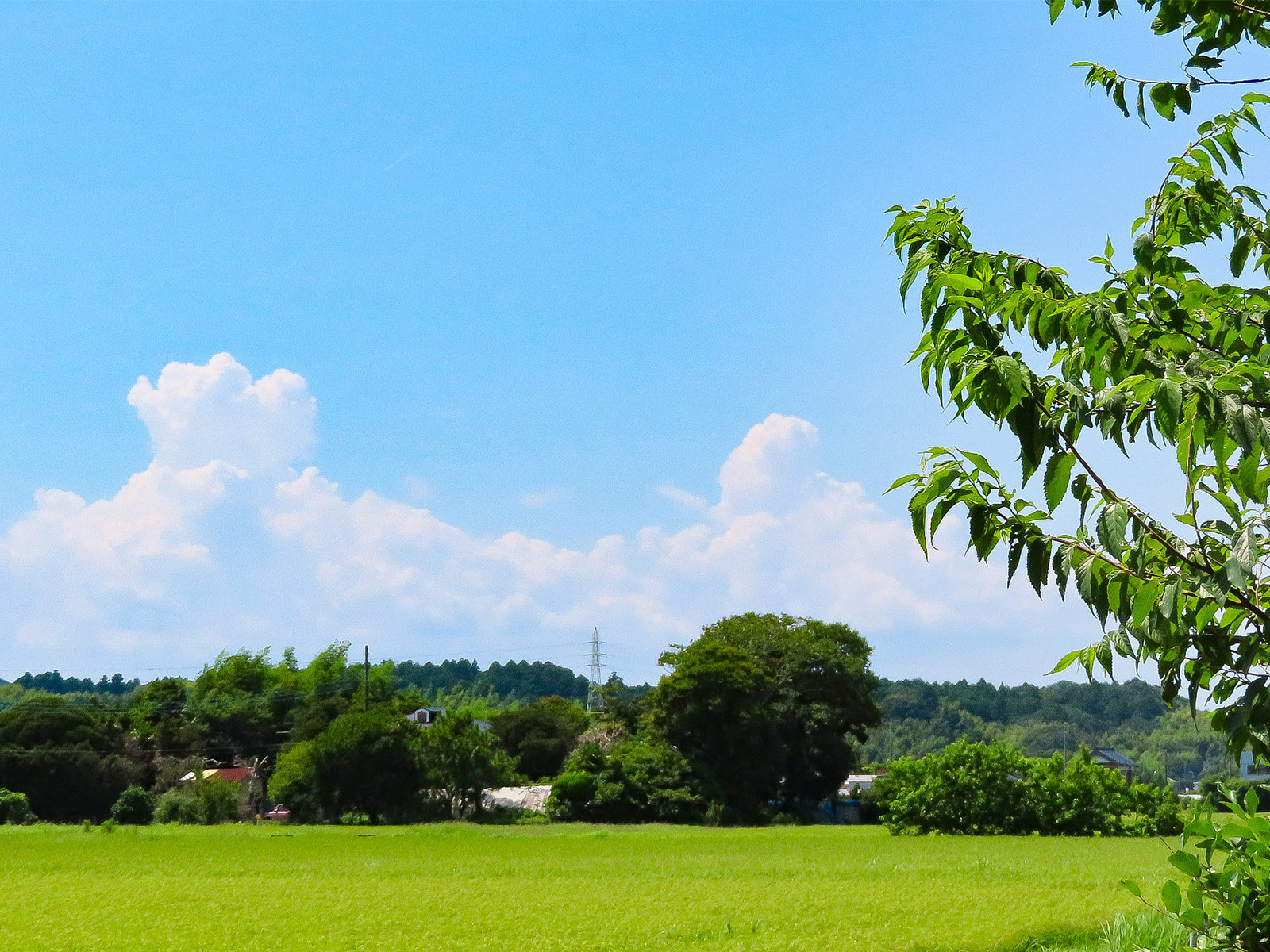 ���ā`�Ă̕��i