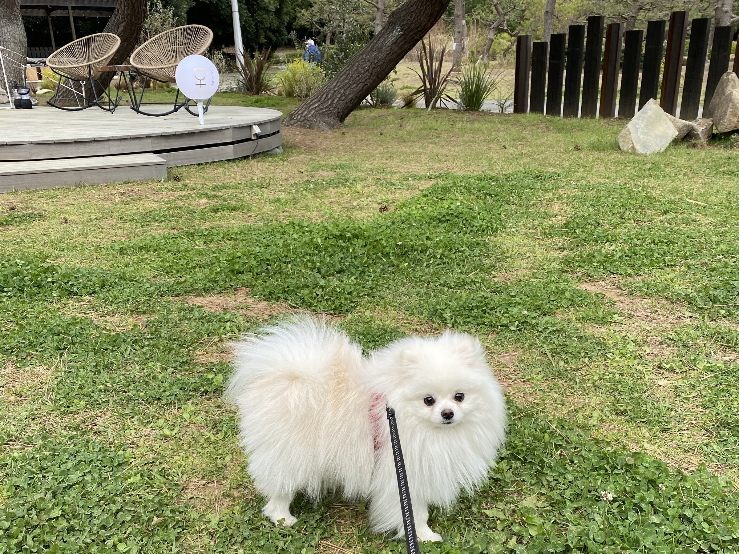 �����O�����s���O/��񂿂������ꏏ�ɏh���\�I�i�ʓr��񂿂�񗿋�����j