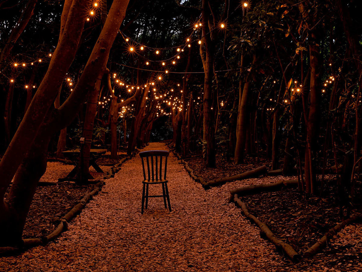 �t�H���X�g�G���A/�����̖L���Ȏ��R�ɕ�܂�ĉ߂����A�㎿�Ȕ����̂ЂƂƂ������߂�����������