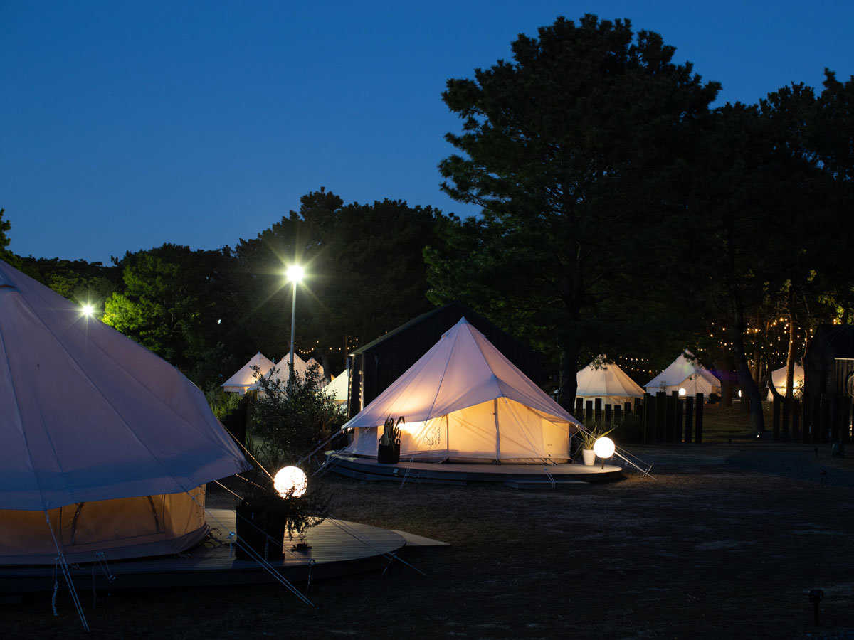 �e���g�T�C�g�i�e���g���j