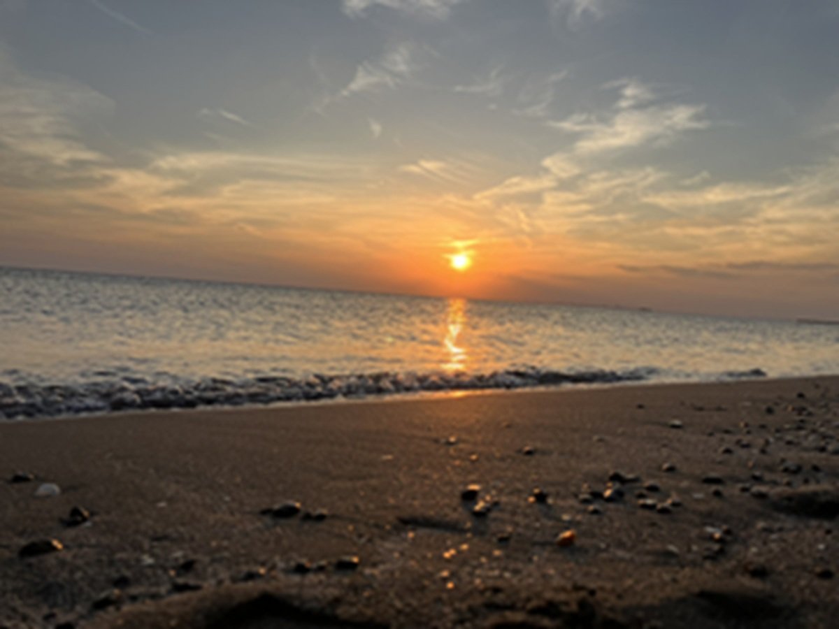 �T���Z�b�g/�O�����s���O�{�݂���C�܂œk��1���B