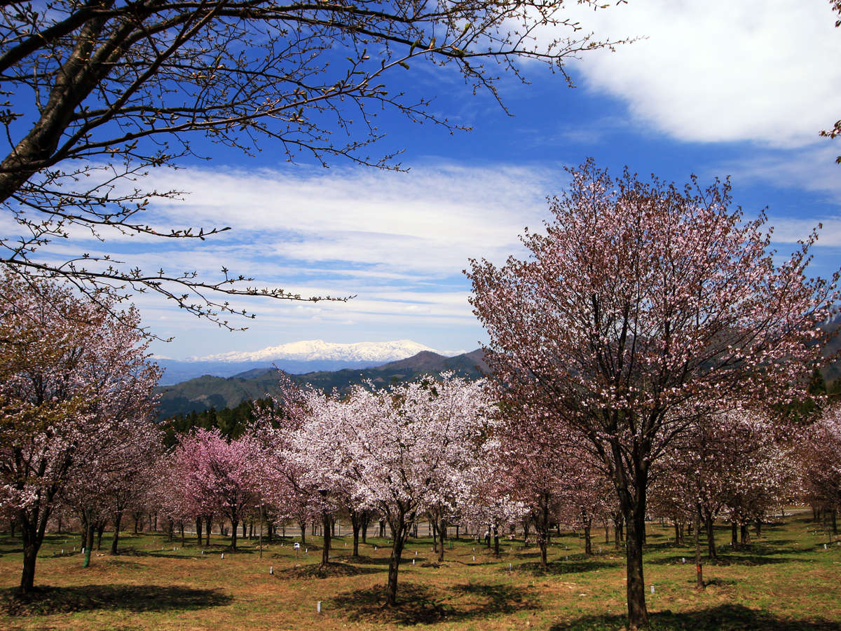 ���̍��͉����іL�R�܂Ō��n�����i�|�C���g