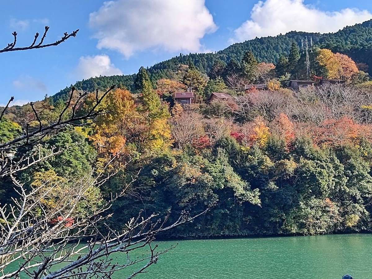 *y݂쉷ӂ̍gtzgt̎͂ꂢɐFÂ܂