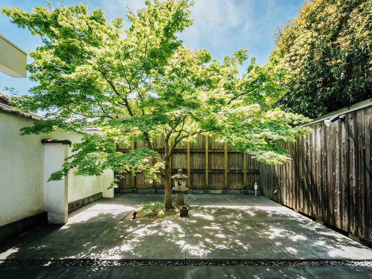 ΓĂ̐ꂽؒɂ͑傫ȍgt̖؂AG߂̈ڂςĂ܂B