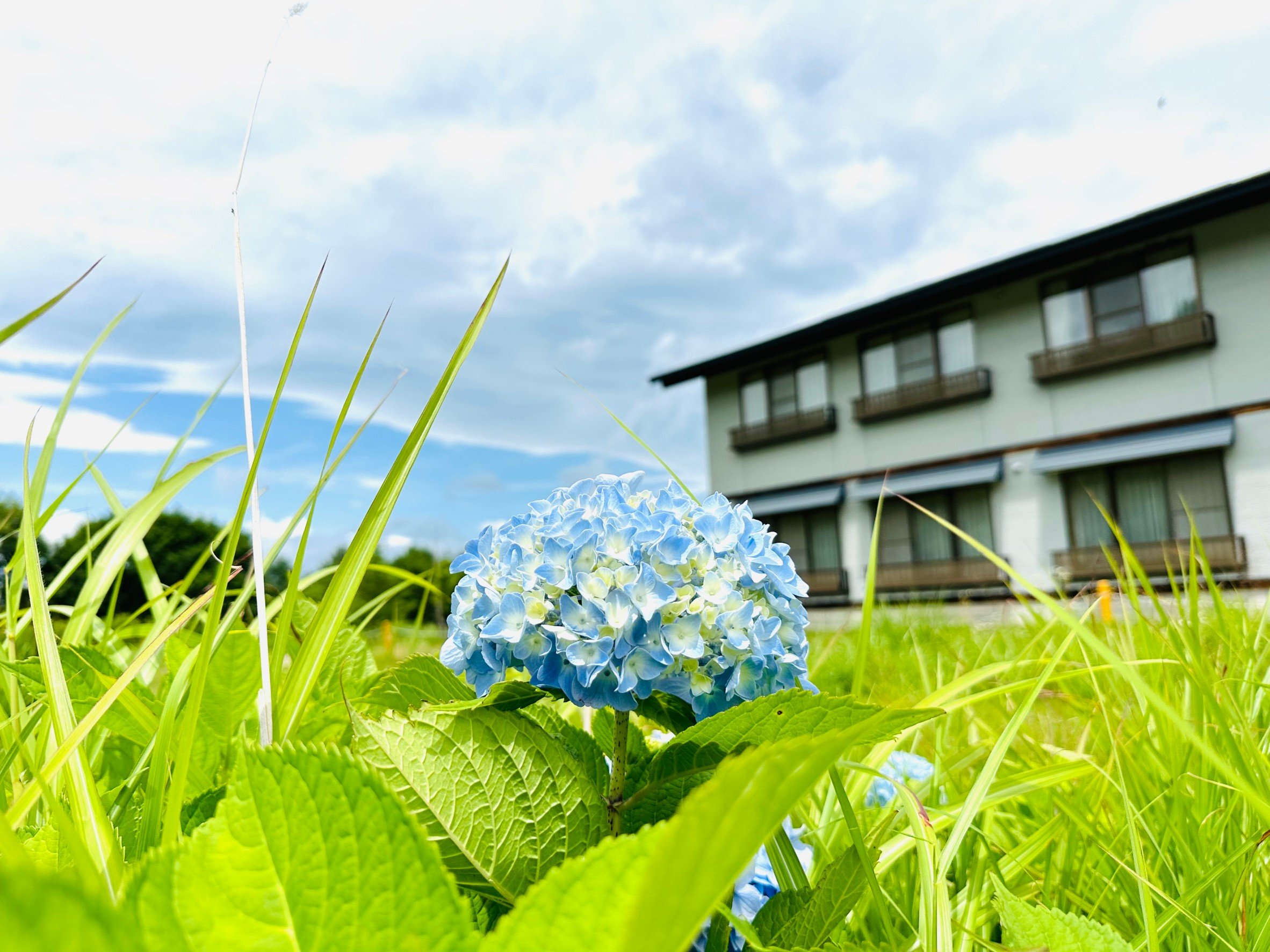 ����ɂ͎��R�����ӂ�Ă���܂�