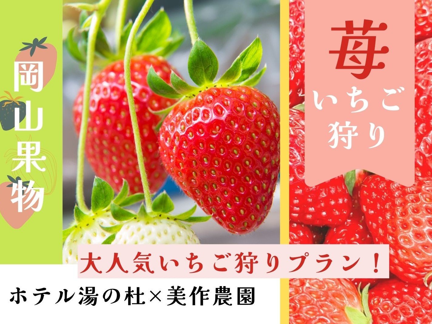 ���������v�����œ~�̖��o�����\��