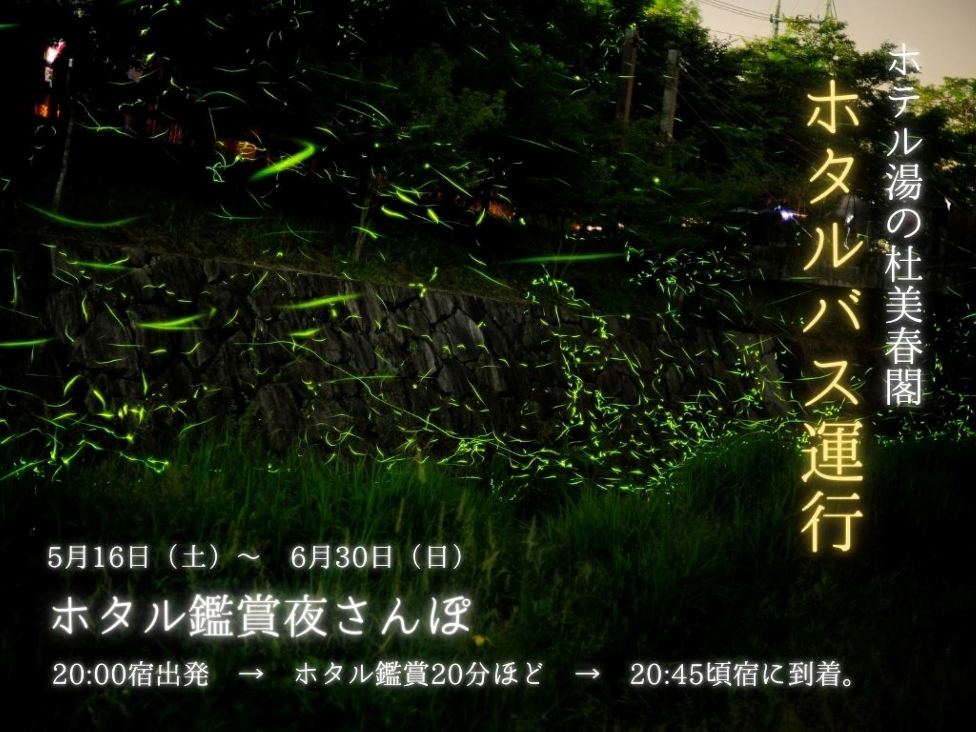 2026�N���z�^���o�X�^�s����I