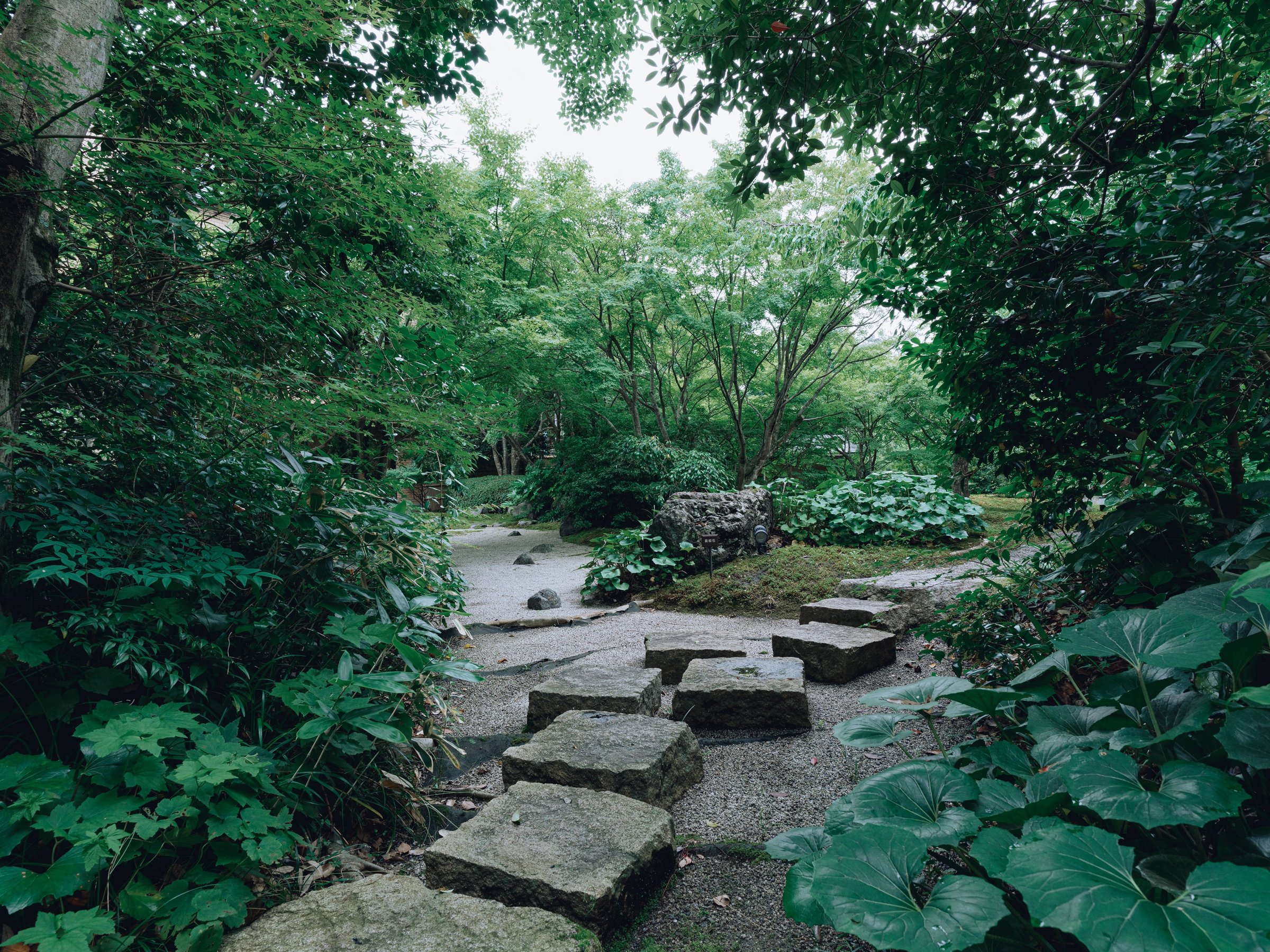 �y�Չ�̒�z�l�G�܁X�̎p�������Ă������{�뉀