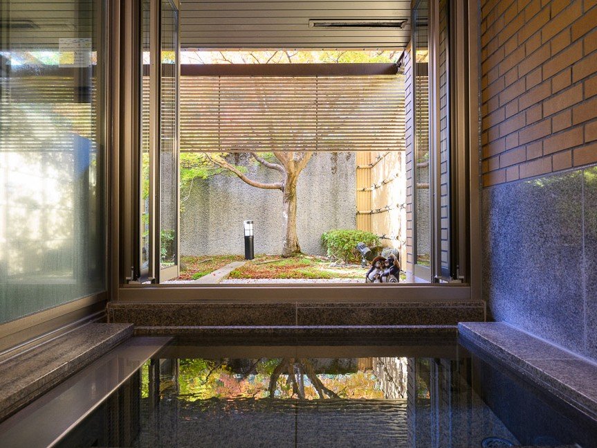 *�y�ݐؕ��C(���q)�z���I�V���\�I���킢���K�𒭂߂Ȃ��������肨���肢�������܂��B