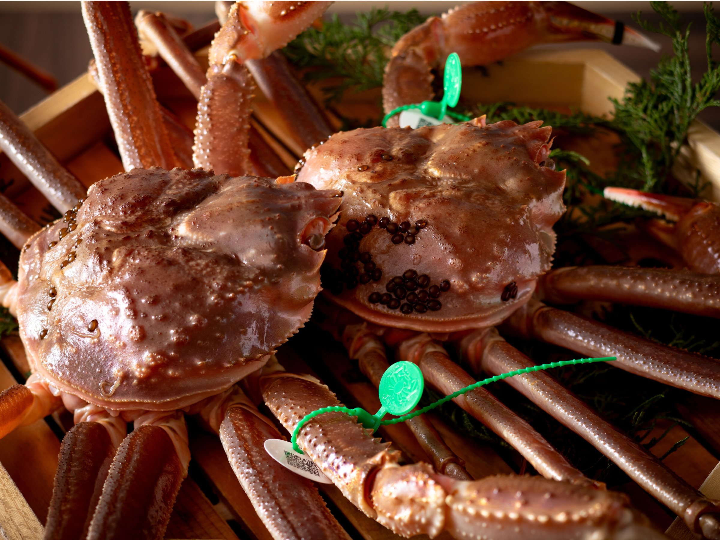 �y�~�E�Ԑl�K�j�z���̎����ɂ������킦�Ȃ��A�~�̖��o�̉��l�E�Ԑl�K�j�����\�B