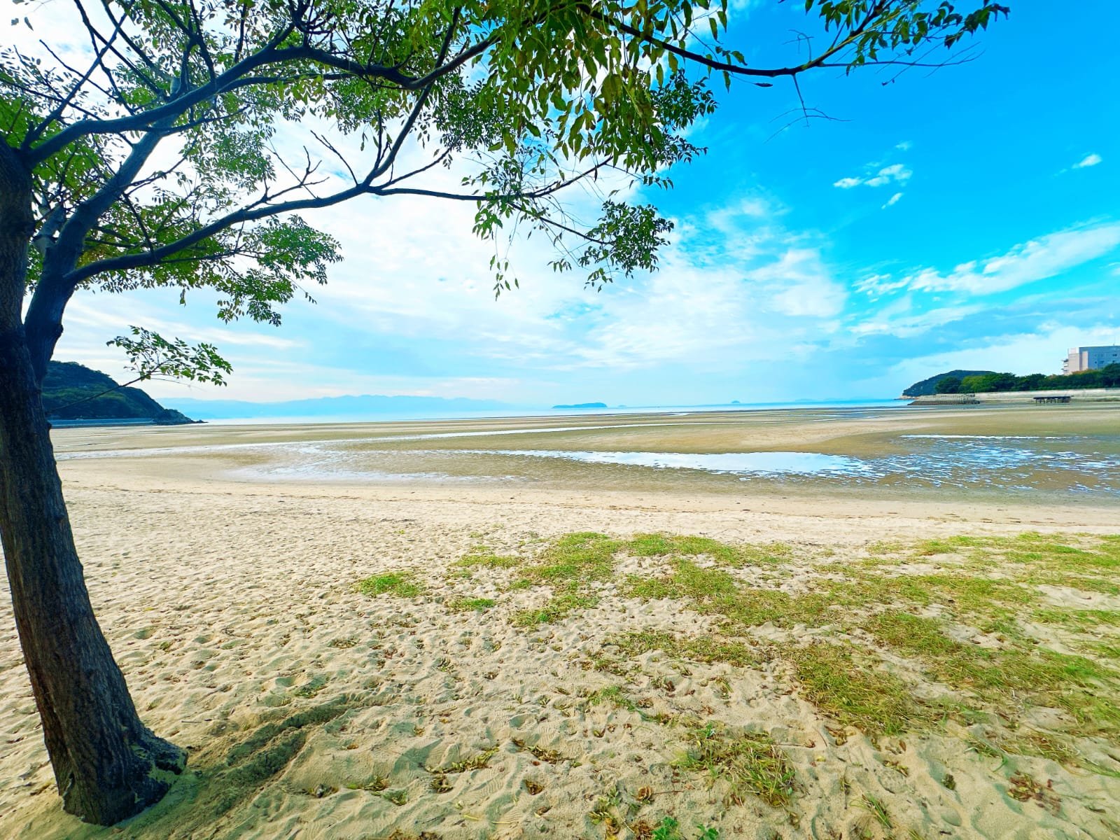 ���̕��ꃖ�l�́A�܂��N�ɂ��{�i�I�ɓ��ݍ��܂�Ă��Ȃ����i�ł��B