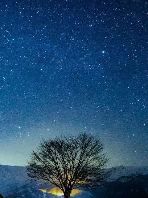 ���������̎R�̏ォ��́A�^���ÂȖ��ɋP�����������������������܂�