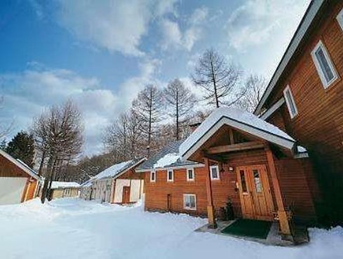 ���b�W�^���f���O�ϓ~