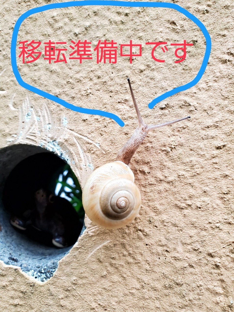 Aړ]łBHȍ~̃I[vɂȂ܂B