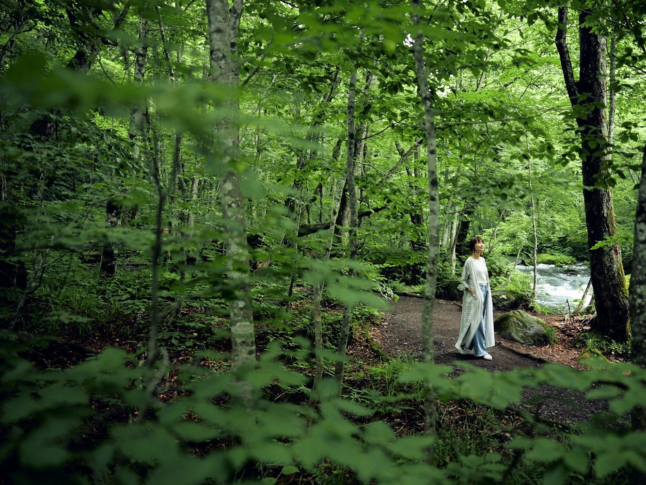 ���̐���A�k���̂����炬�𕷂��Ȃ���A�̂�т�U��B