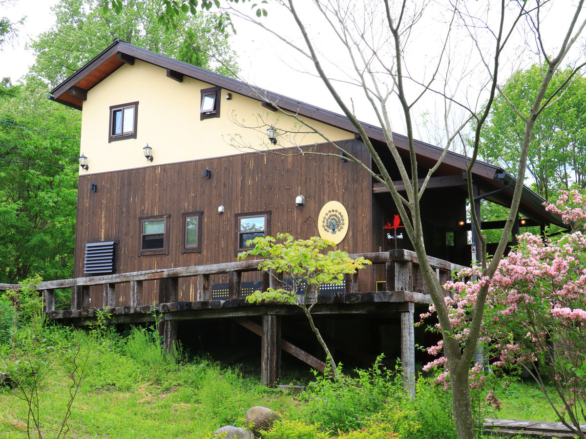 �y�剮���n�E�X�z��������ӂ��{��