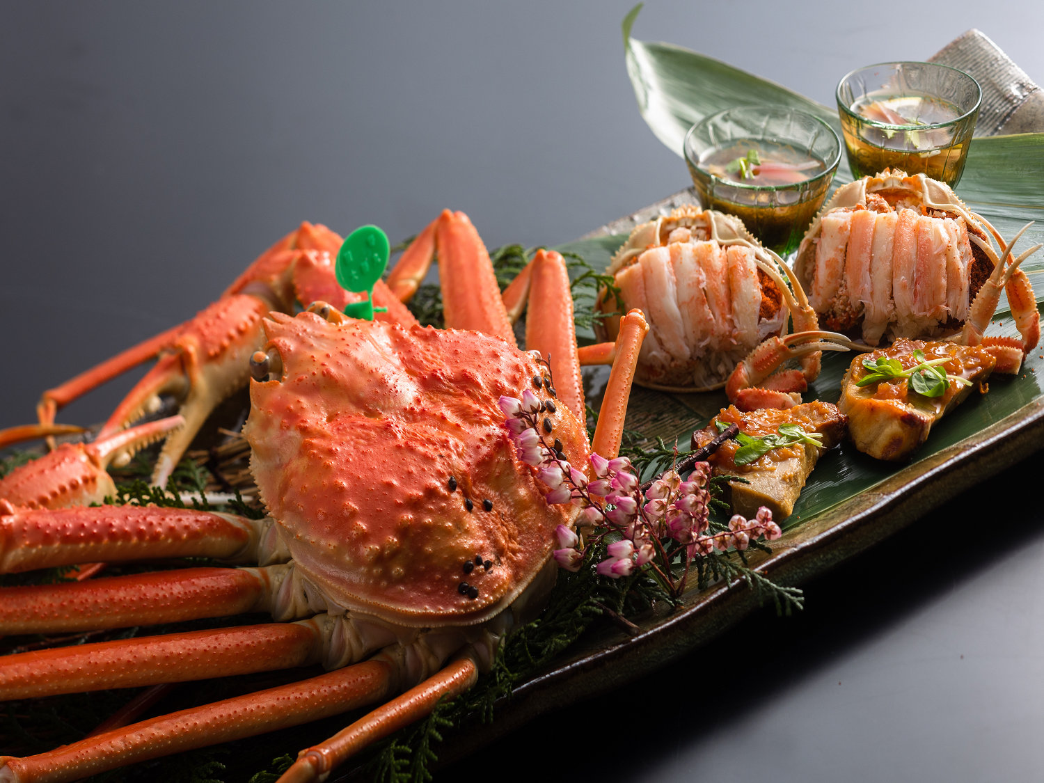 䥂ŃKjtƃZRKjiς݁j