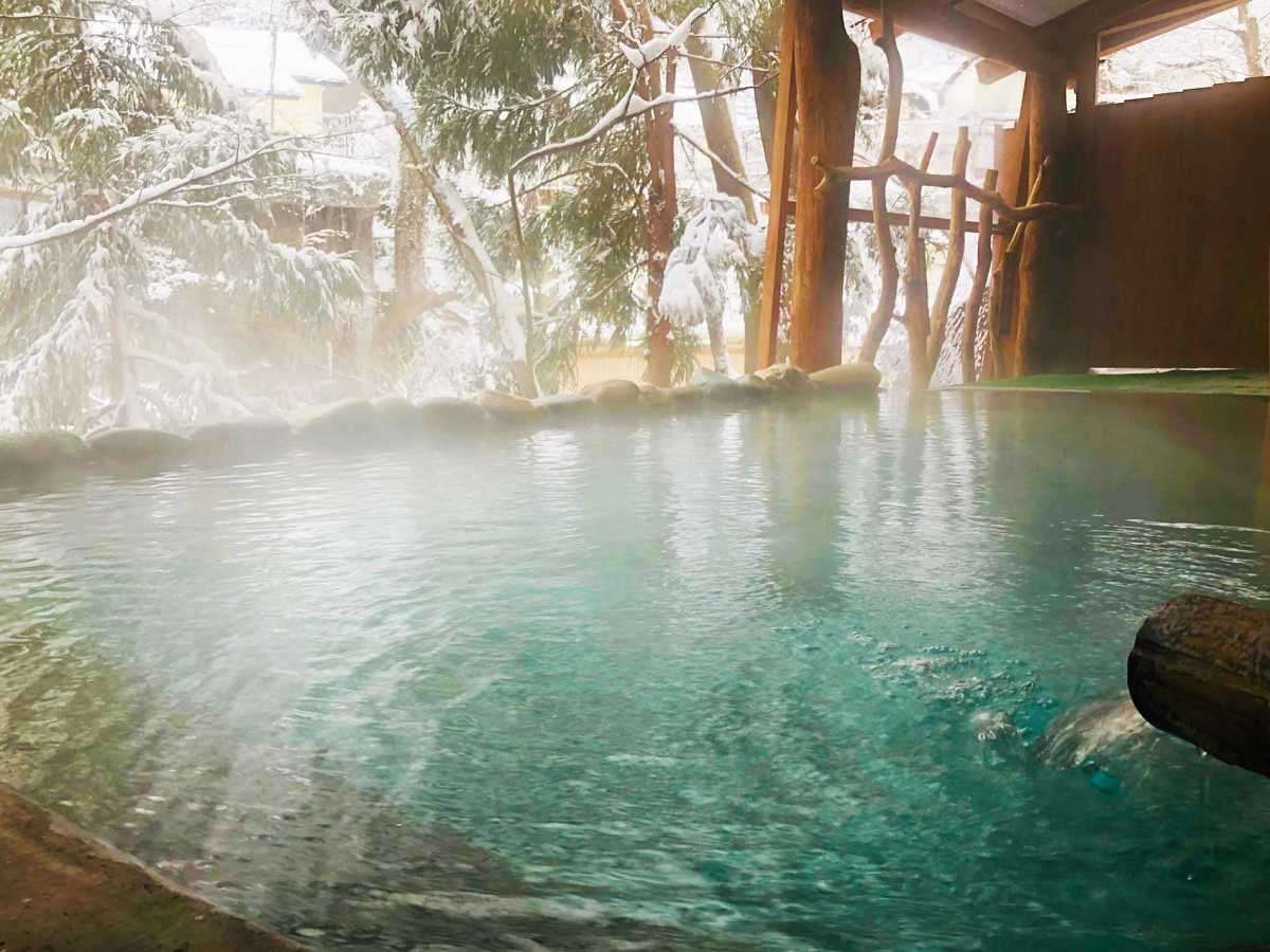 y킽蓒EjIVCzlGk̘IVCijpj