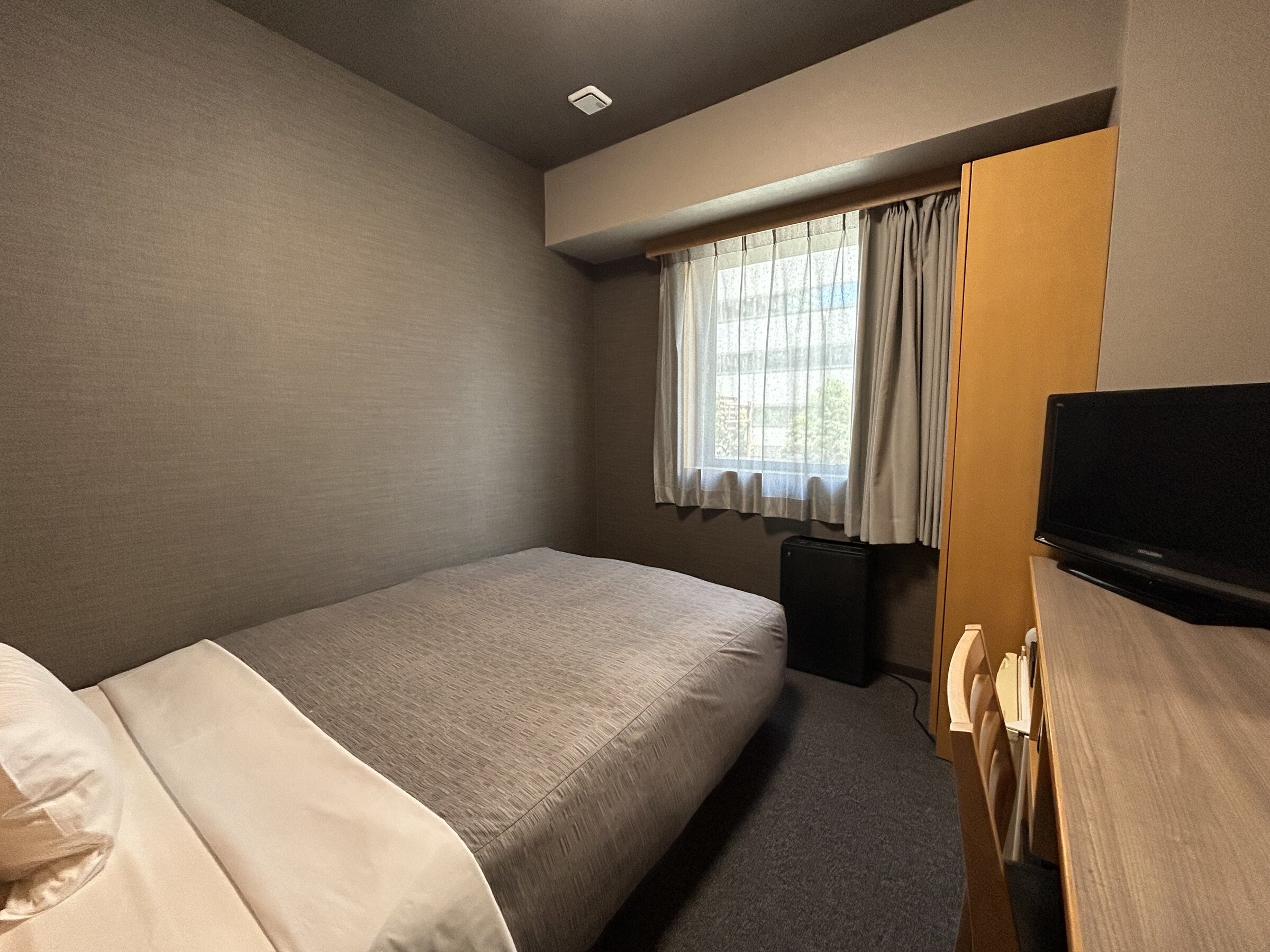 �V���O�����[��