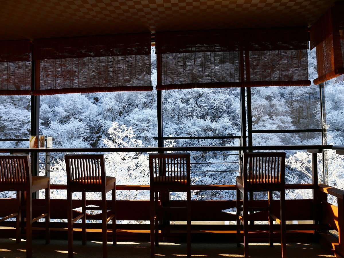 y{݁z~̐ጩ@ڂ̑OɍL锒␢E