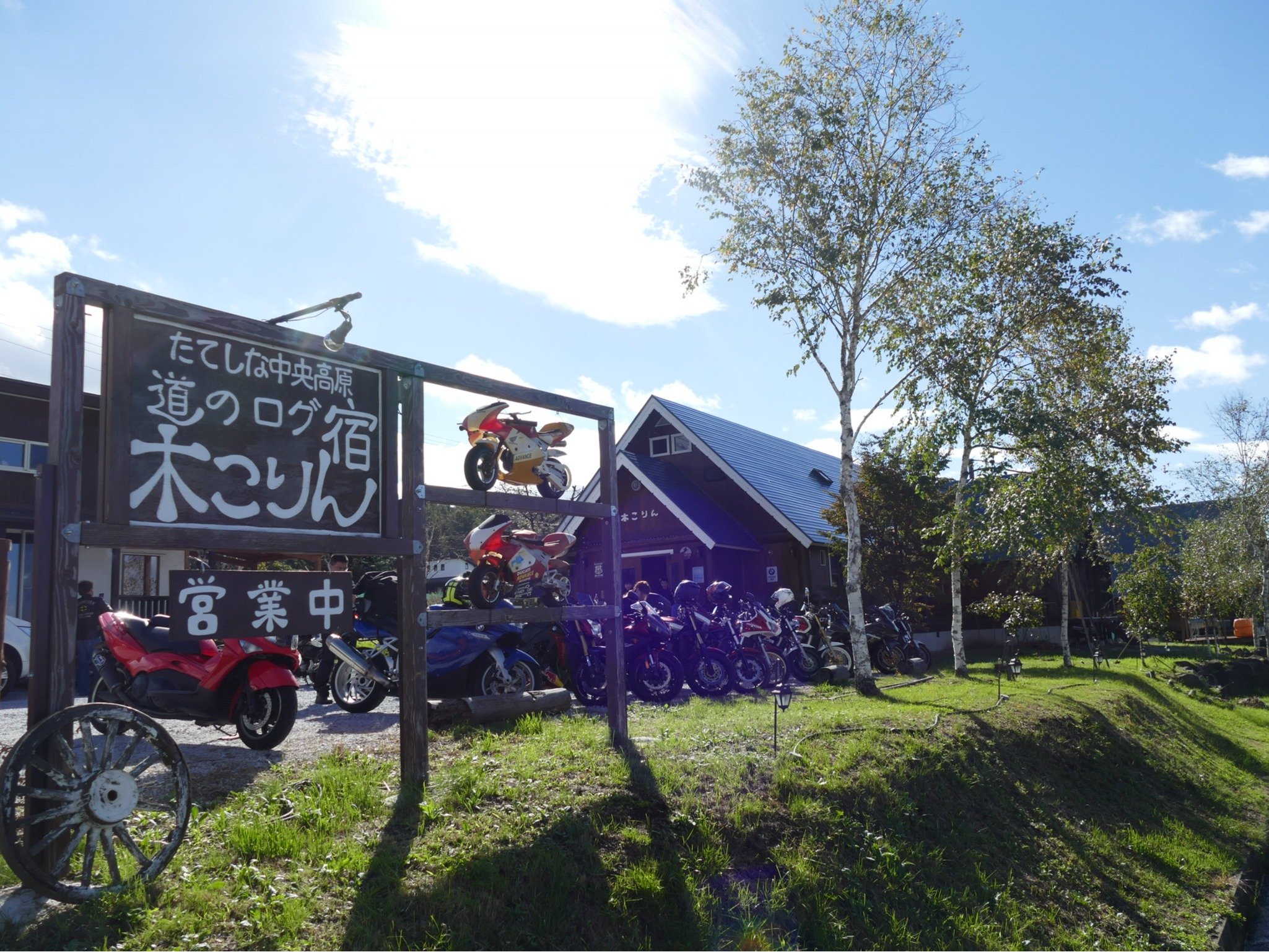 �O���[���V�[�Y���̖؂����O��