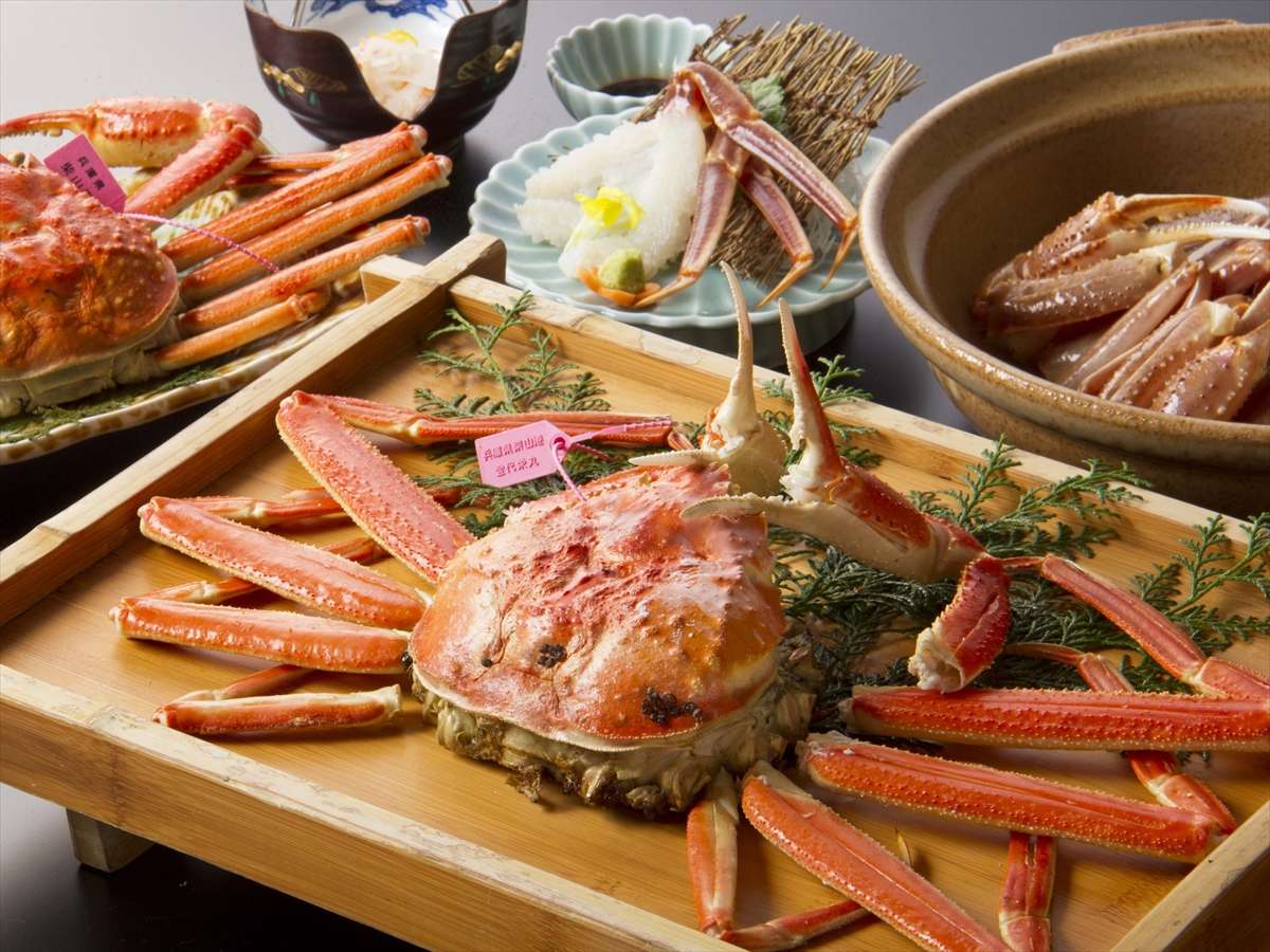 �y�l�CNO.1�n�I�R�[�X�z���t�I��2.5�t�����I�َ厩��Z����Ō��I�������̂������g�p��