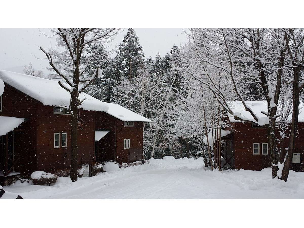 �~�E��̒��̃R�e�[�W