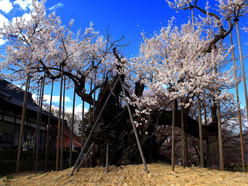 �����2��N�I�V�R�L�O���@�R���_����B