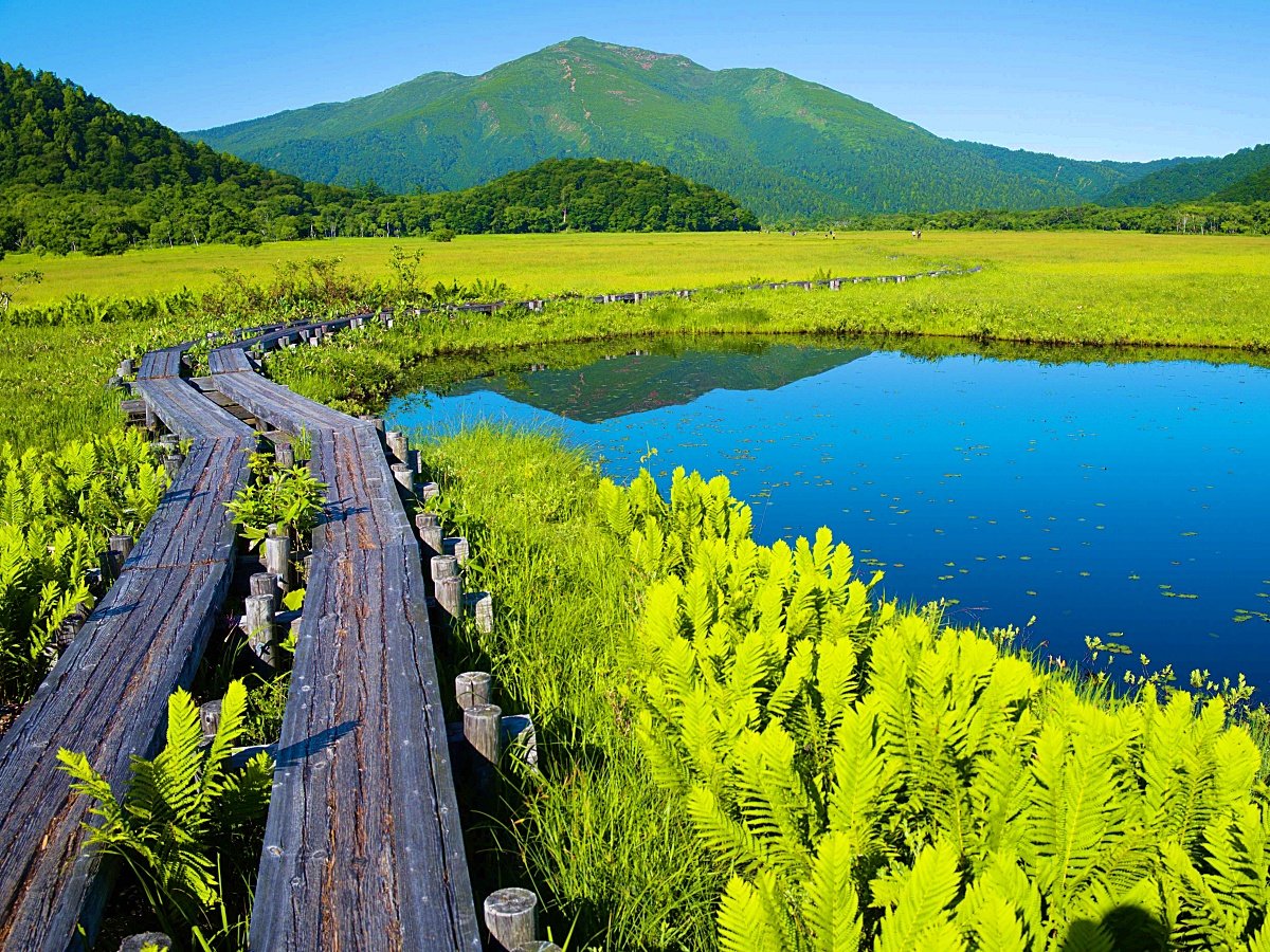 �����@�O���[���V�[�Y��