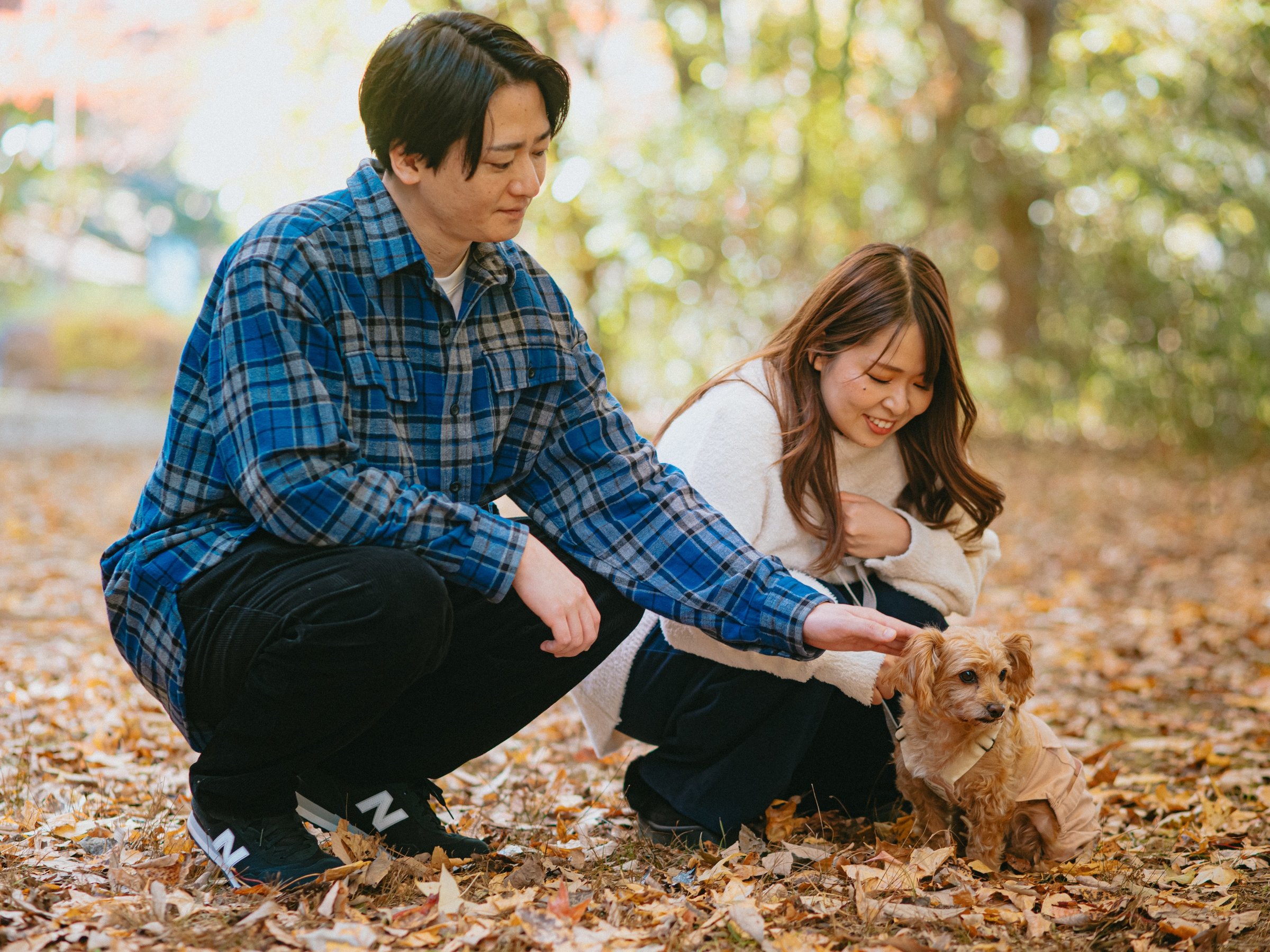 ��񂿂��ƈꏏ�ɂ����v���o����