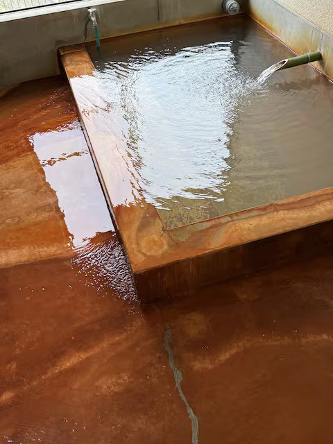 ���򐬕����̂܂܂̐F����