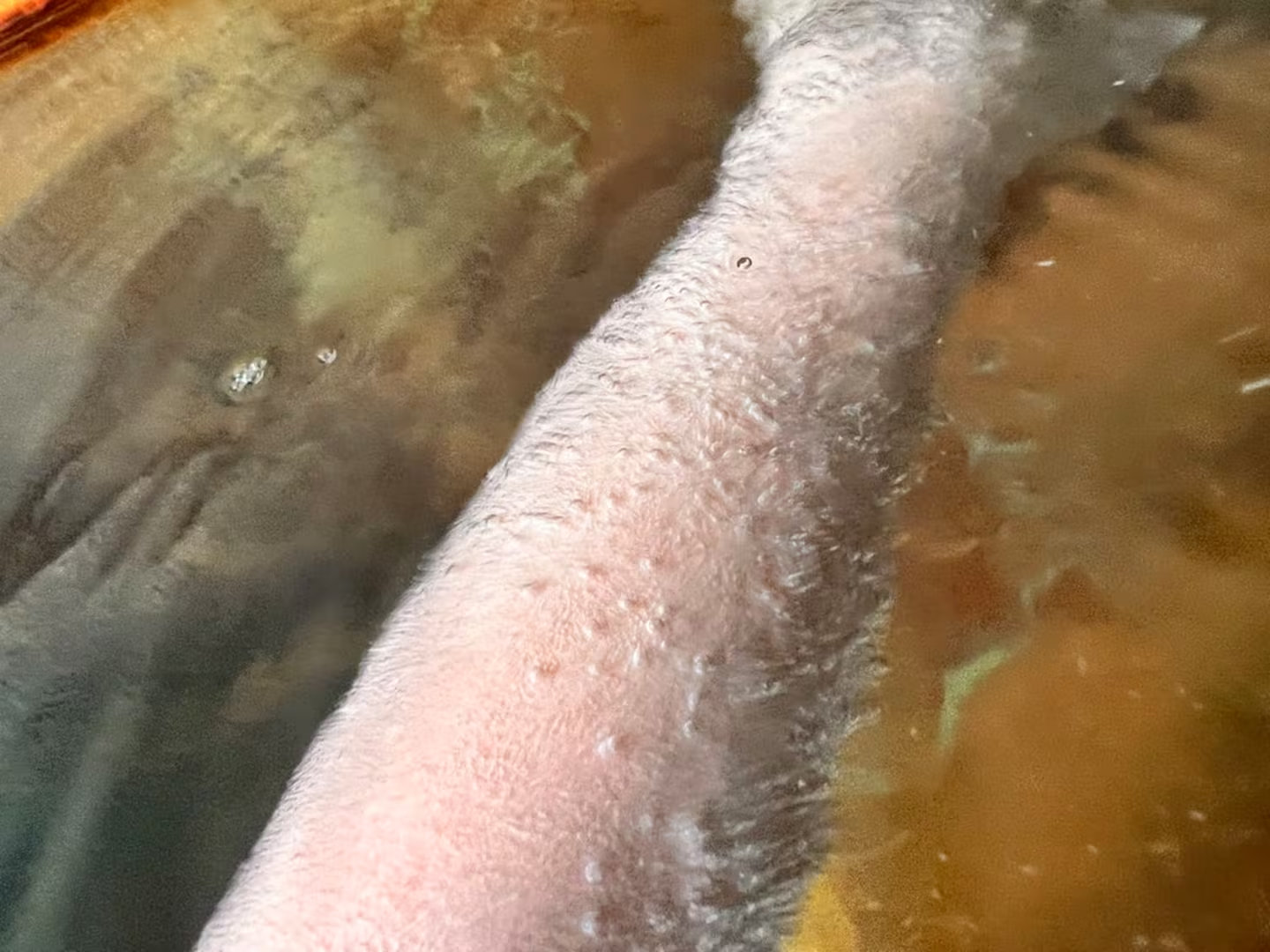 �M�d�ȒY�_��