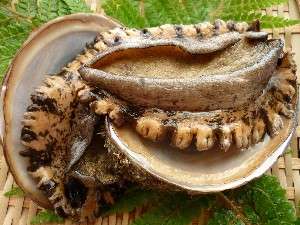 ���������ԈႢ�Ȃ�