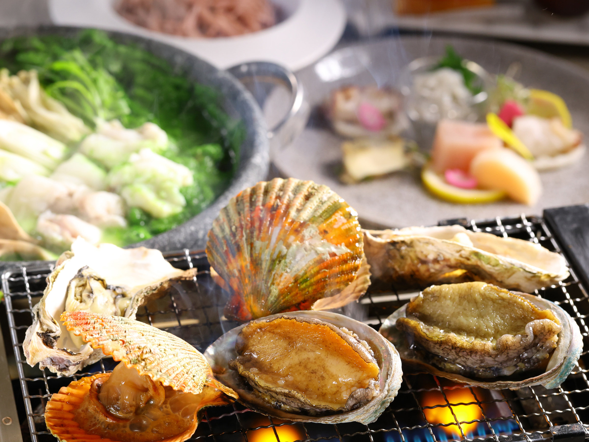 �y�ɂ�/���ʉ�ȁz�t�i2026�N3���`5���j