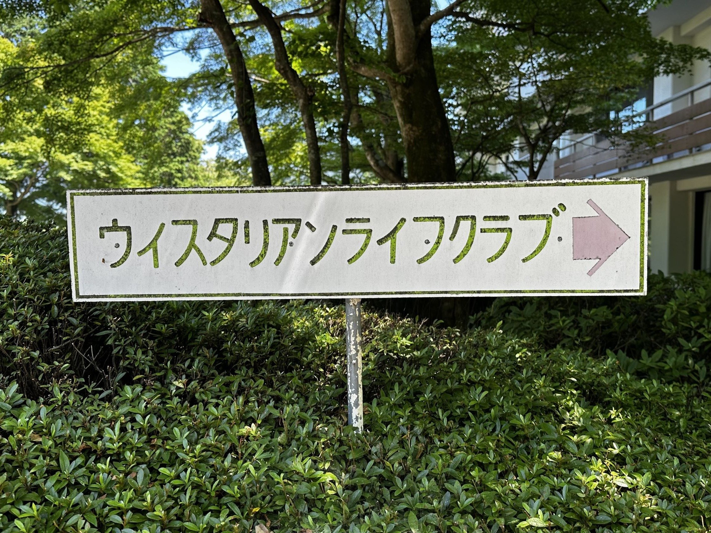 htÂtW^8R}VÕzeē\B