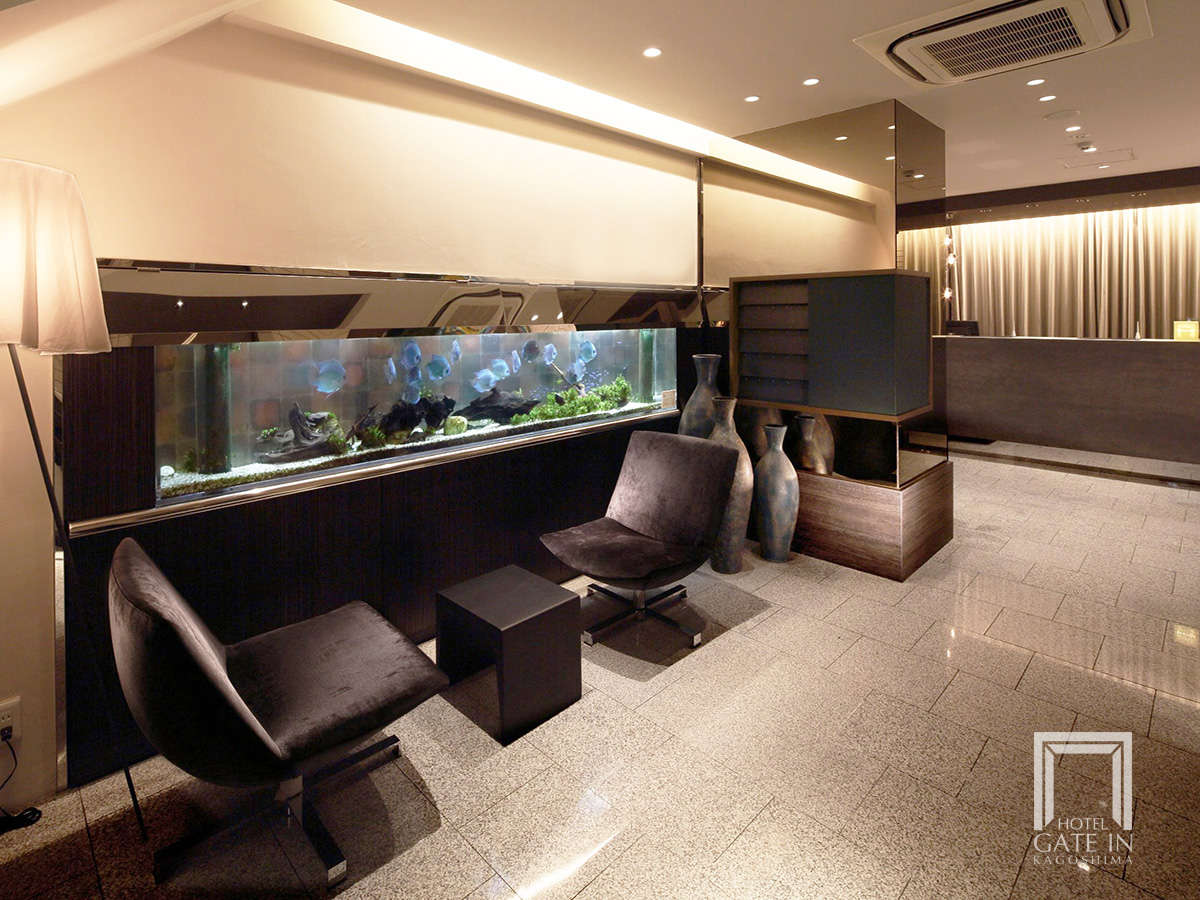 ���r�[�i���R���̔M�ы������j