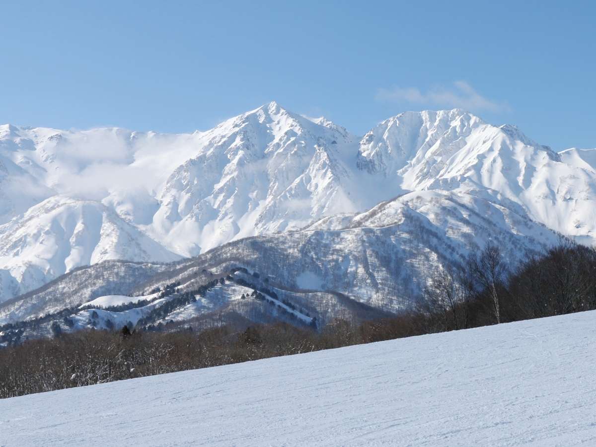 ���n��x�Q�����f