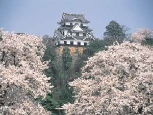 �F����ɍ炢�����J�̍�