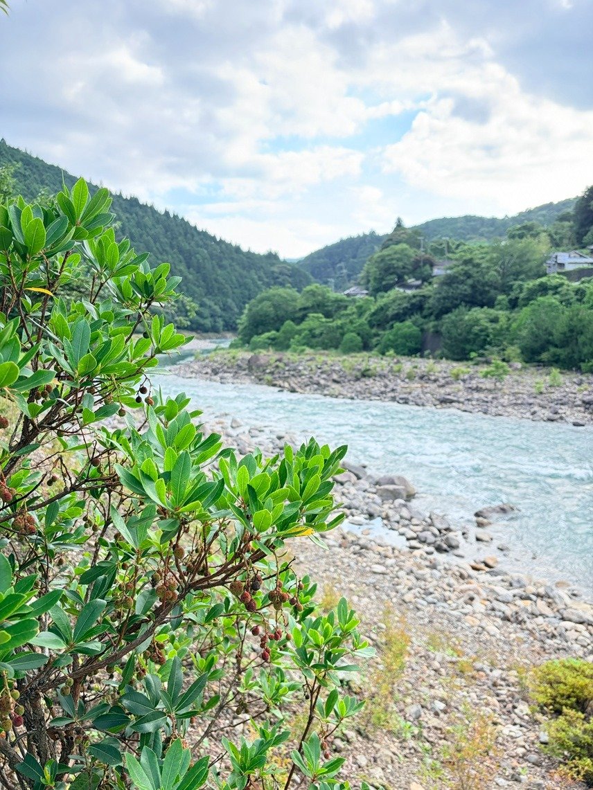 �i��